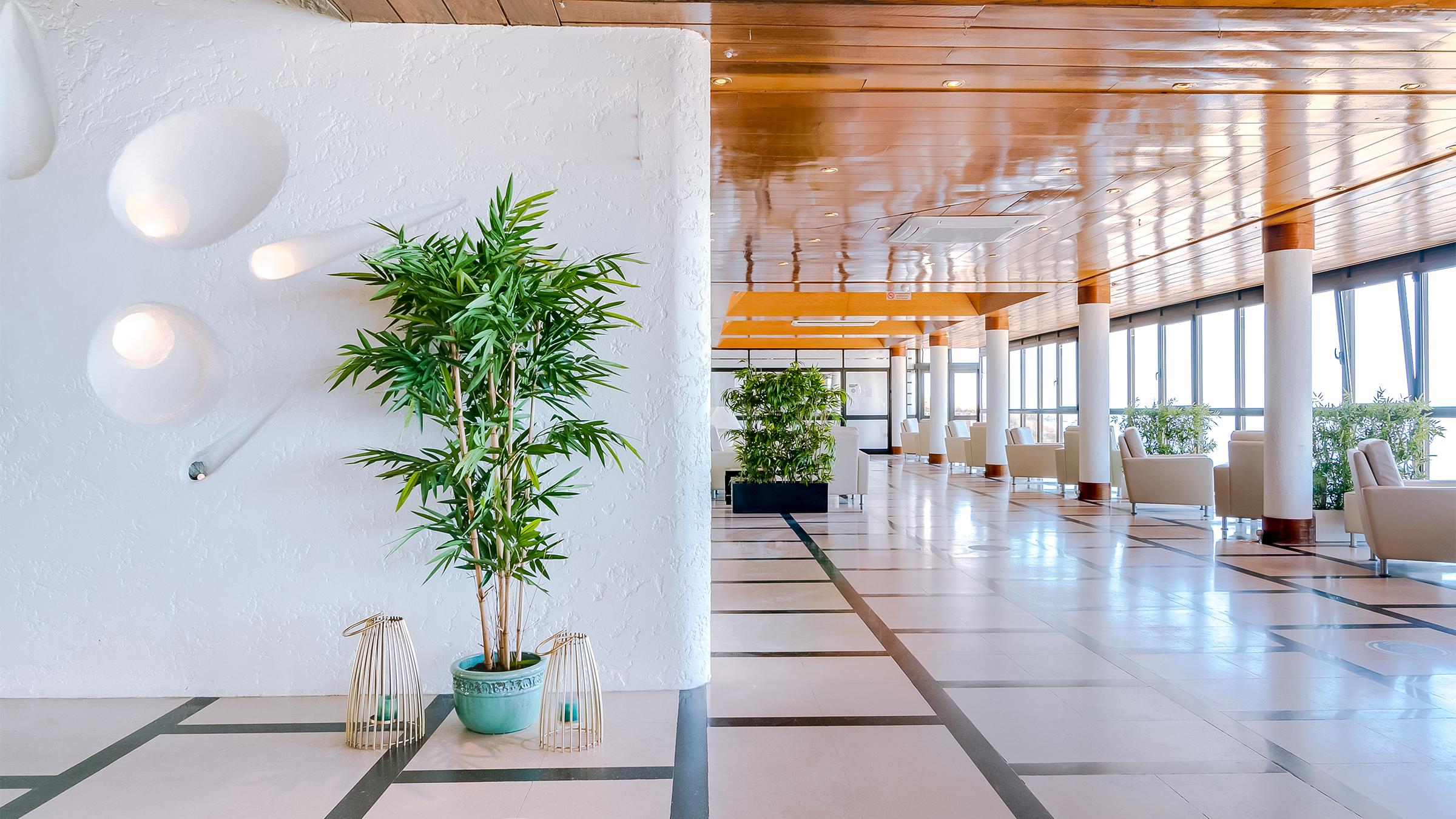 Hotel Sol E Mar Albufeira - Adults Only Ngoại thất bức ảnh